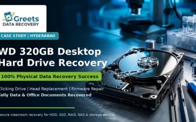 Case Study: WD 320GB Desktop Hard Drive – 100% Physical Data Recovery Success